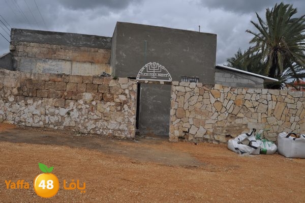 kaneswa7akhdra2lud316 (12).JPG